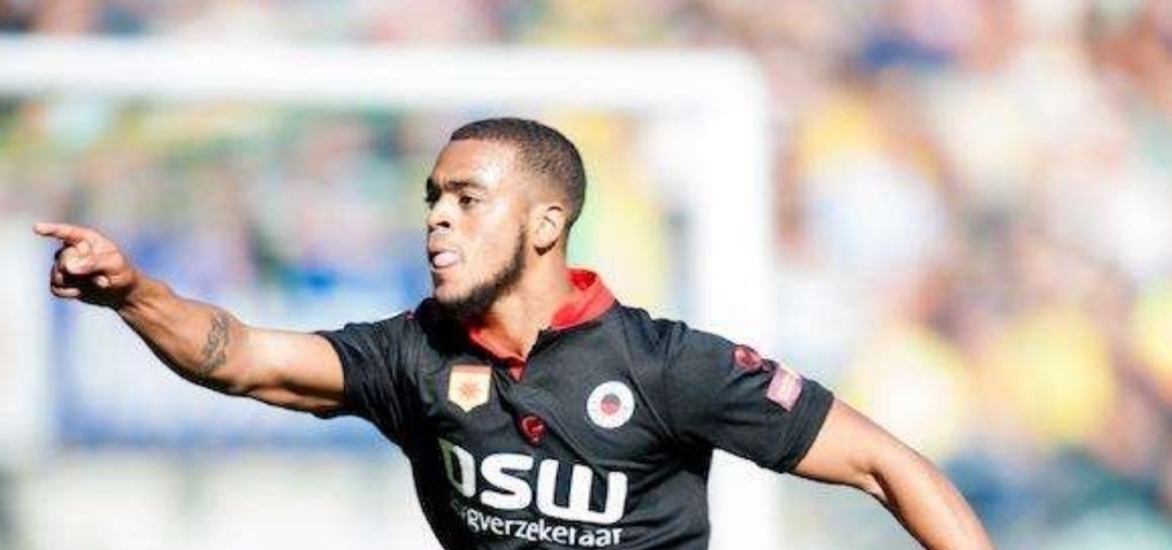 能在面对森 能在面对森