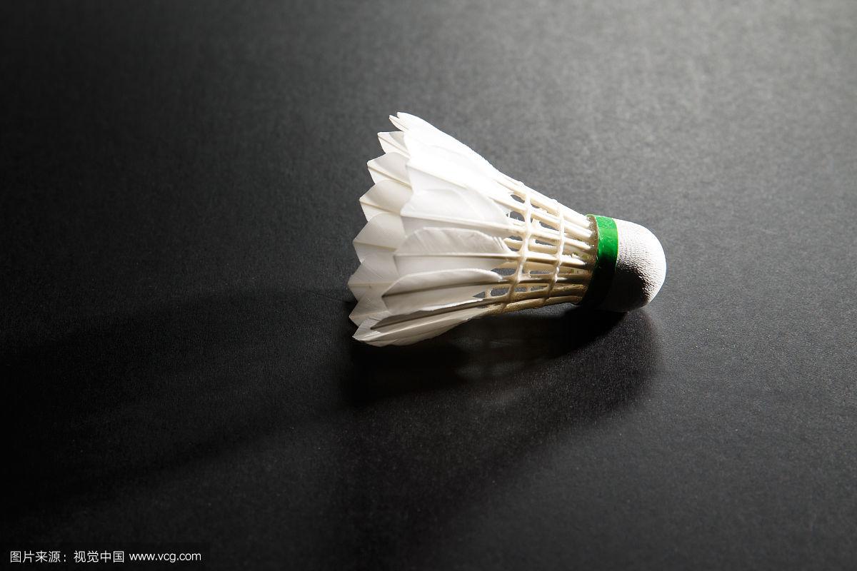 也对职业球 也对职业球