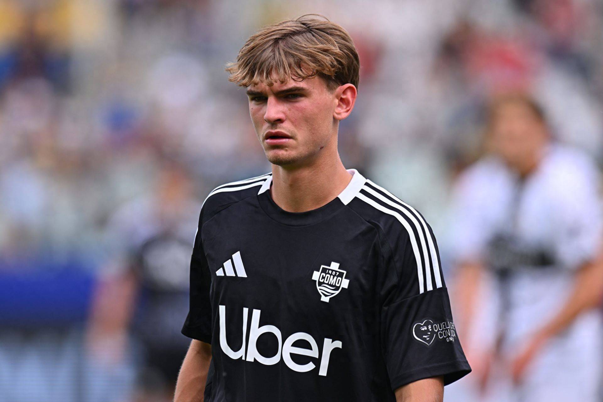 仅展现了英 仅展现了英