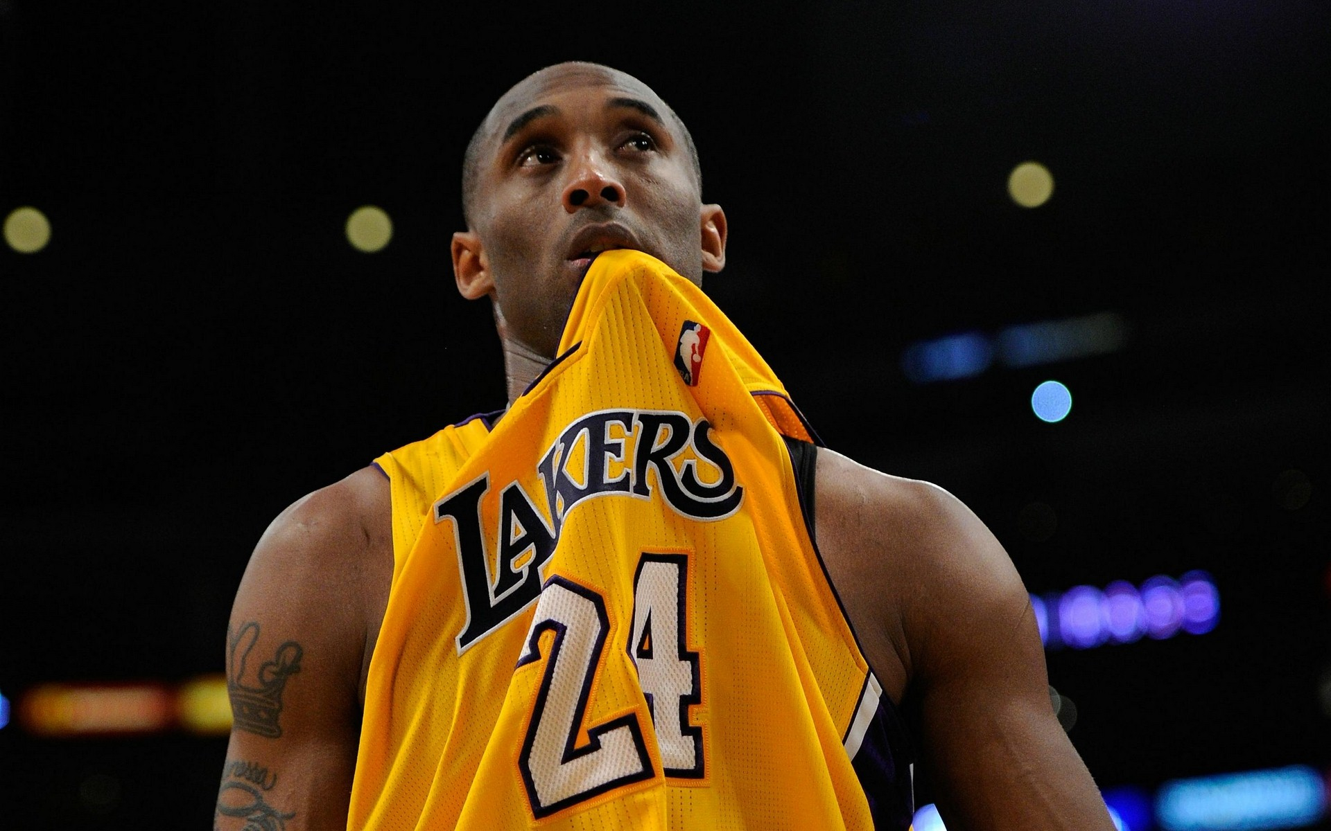 翼的加盟提 翼的加盟提