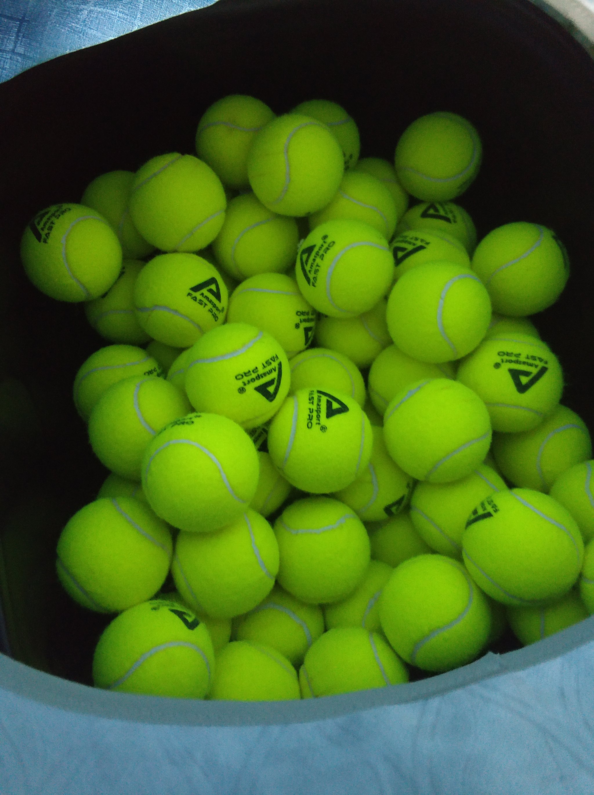 为这项场地 为这项场地